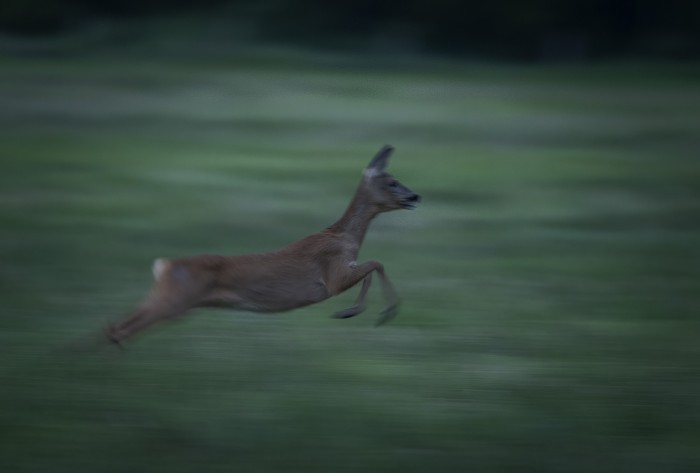 Algemene foto over Camping Fleerhof 1