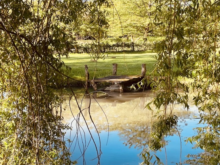 Algemene foto over Domaine les Darbonnets 1