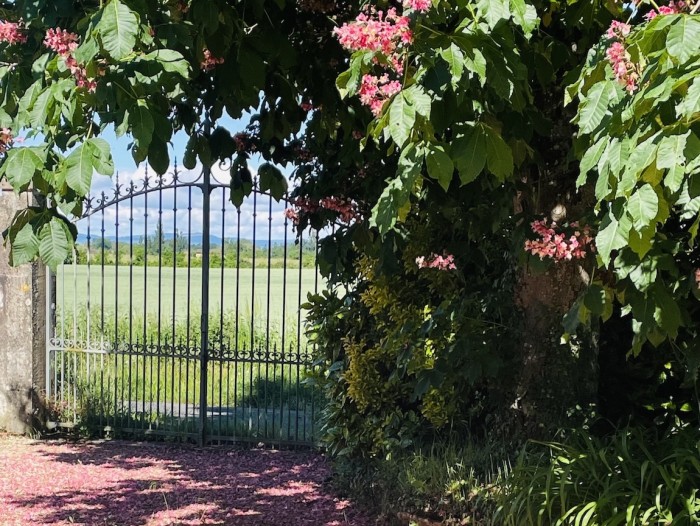 Algemene foto over Domaine les Darbonnets 1