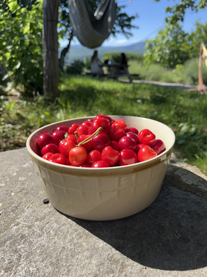 General photo about Le Petit Moras 1