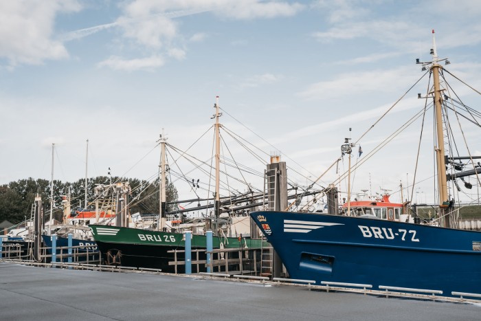 Algemene foto over Knusse vakantiewoning Bruinisse 1