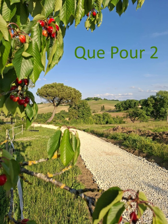 Image générale sur Que pour 2 1