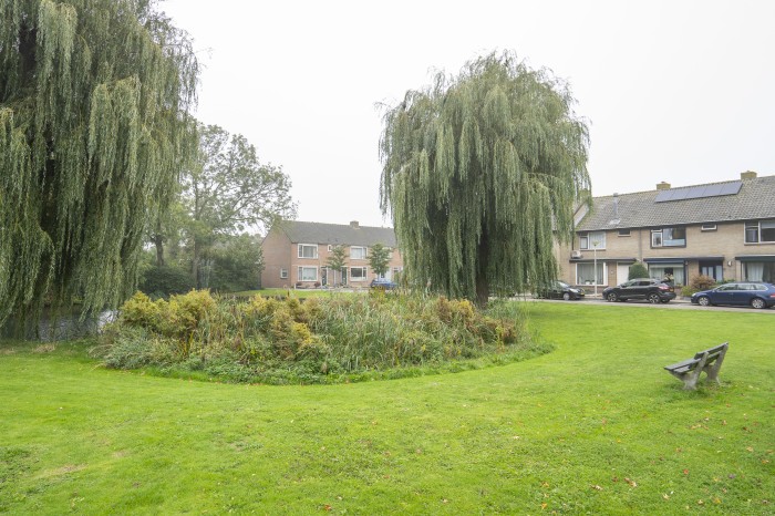 Algemene foto over Polderverblijf De Franse Put 1