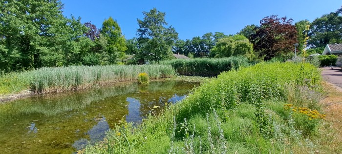 Algemene foto over Suzie's Cottage 1