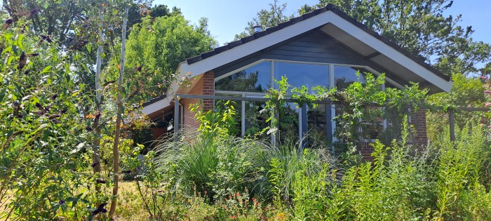 Algemene foto over Suzie's Cottage 1