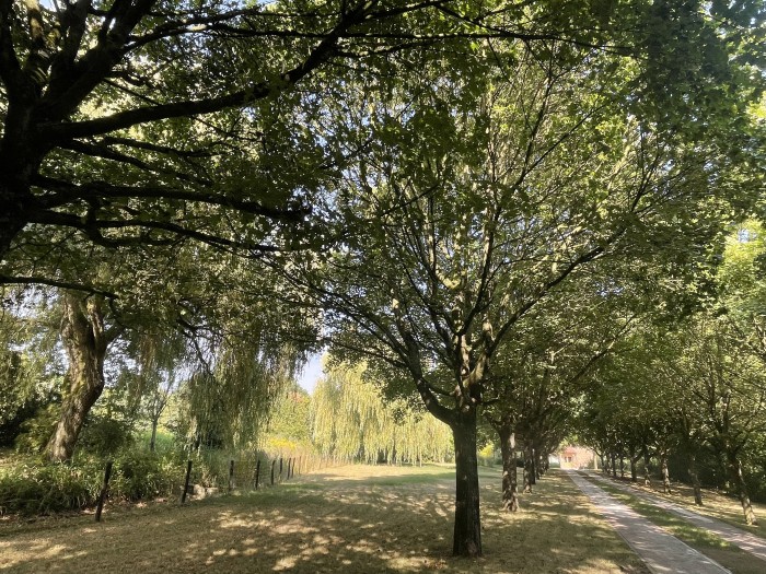 Algemene foto over WildeRust 1