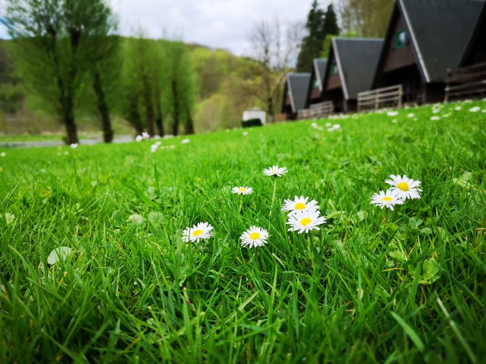 Algemene foto over Le Printemps 1