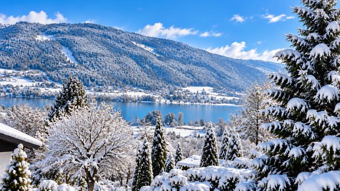 Allgemeines Bild über Waldvilla BERGSEE KG 1