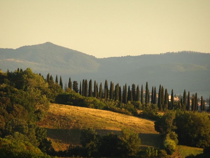 Algemene foto over Agriturismo Anna-Rosa 1
