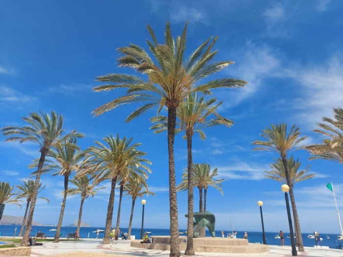 Algemene foto over Cirene Albir 1