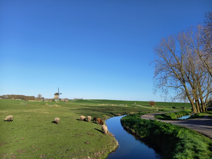 Algemene foto over Louët Logiesaccommodaties 1