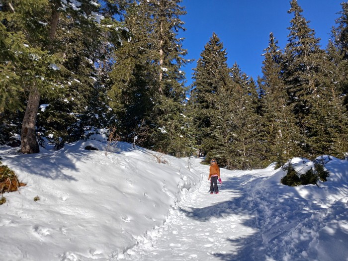 Allgemeines Bild über Mountain Experience OG 1