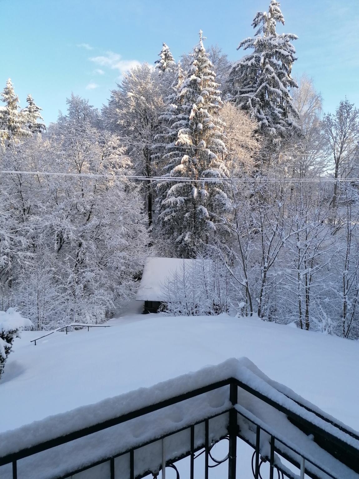 Kärnten Appartements