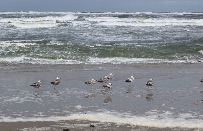 Algemene foto over Dragonfly 1