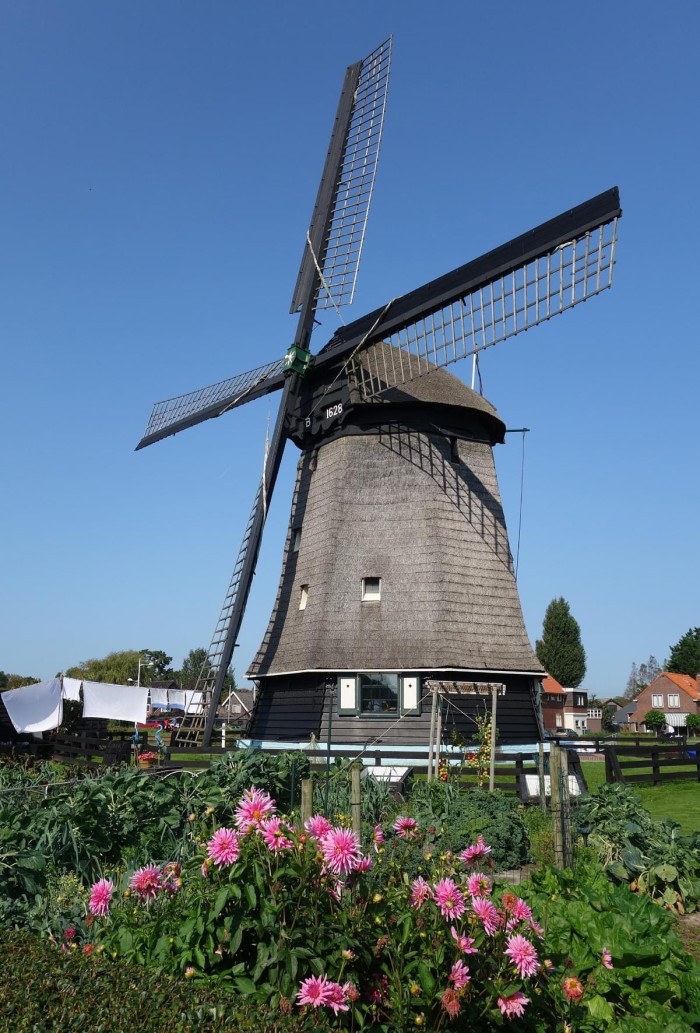 Algemene foto over Dragonfly 1