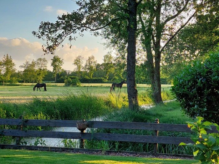 Algemene foto over Tusken Wad en Wâld 1