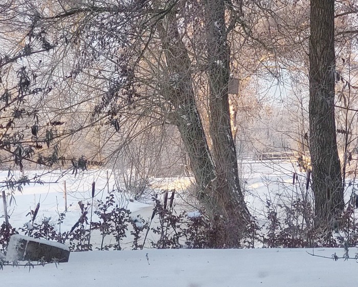 Algemene foto over Tusken Wad en Wâld 1