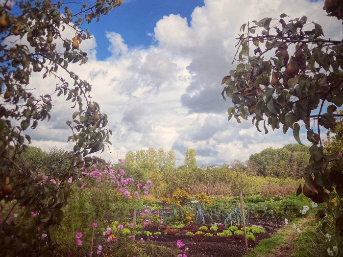 Algemene foto over Proeftuin van Linschoten 1